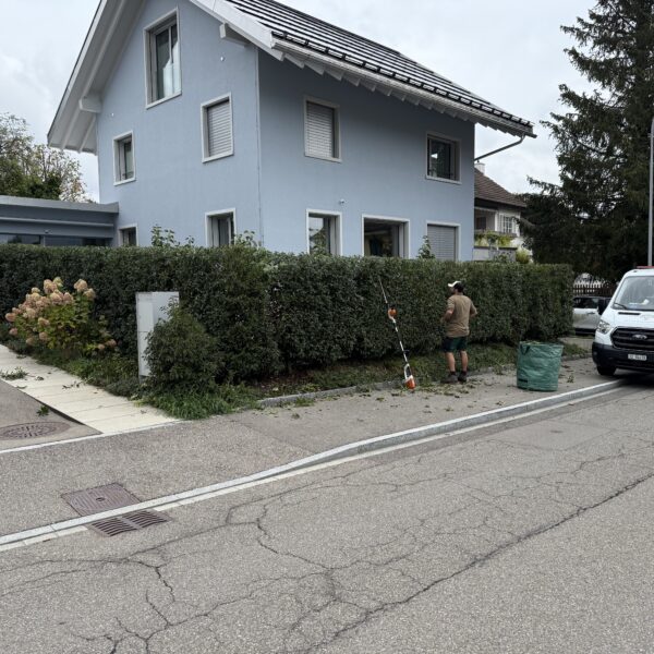 image00005