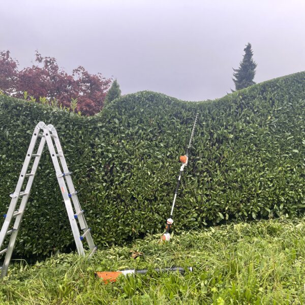 image00011